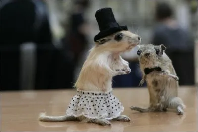 Quelle princesse adore les souris ?