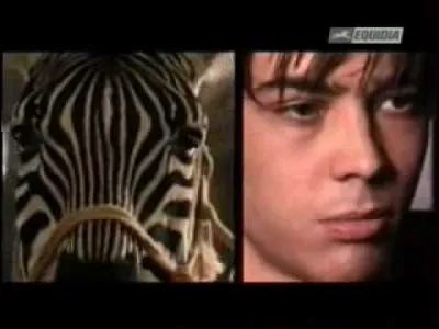 La voix de quel personnage a-t-il faite ?