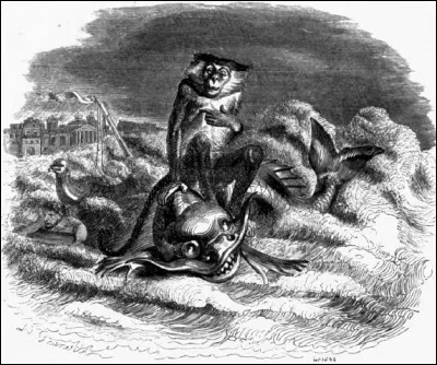 Voici l'illustration de la fable de Jean de la Fontaine intitulée « Le singe et le dauphin ». Le singe, sauvé de la noyade par le dauphin en prenant place sur son dos, a pris « Le Pirée » pour un homme dans la conversation entamée par les deux compères. Que fait alors le dauphin, croyant qu'il sauvait un homme ?