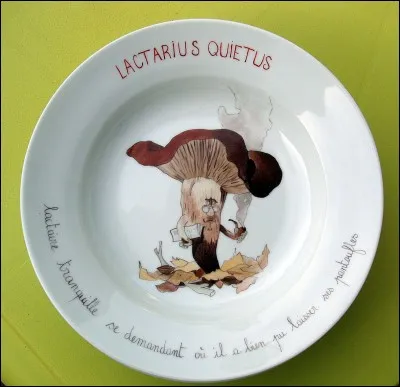 La truffe cherche la sauce qui va faire avec elle un mariage somptueux !