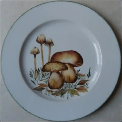 De quelle nationalité va être l'élue de ces champignons ?