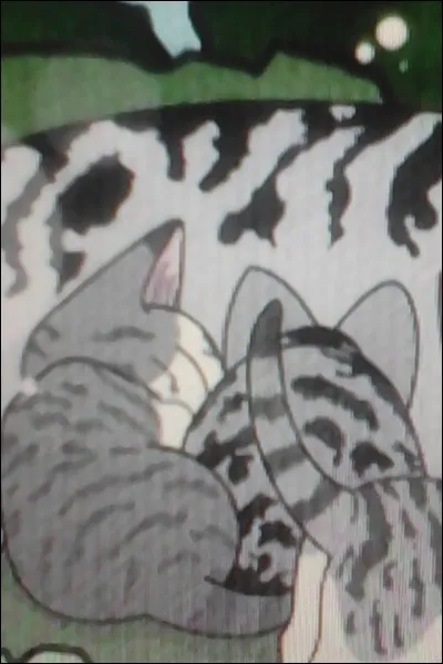 Comment s'appellent ses frère et soeur ?