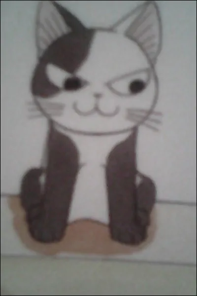 Comment s'appelle le chat de la photo ?