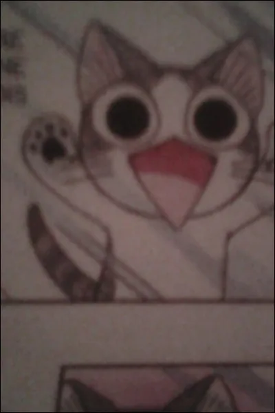 Qu'est-ce que Chi appelle une proie ?