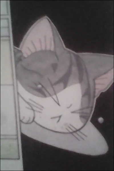 Quel est le choix final de Chi à la fin du tome12 ?