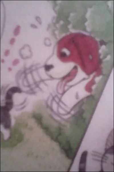 Comment s'appelle ce chien ?