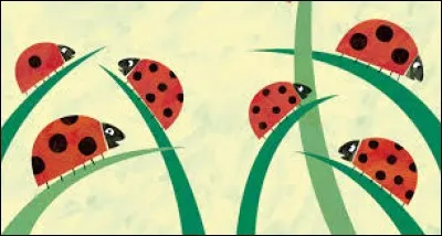 Quel insecte est nommé "Bête à bon Dieu" ?