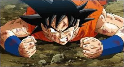 Qui est ce personnage très connu de Dragon Ball Z ?
