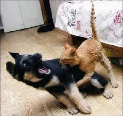 Mon p&egrave;re me brise les g&eacute;nitoires. Quel est le synonyme de cette phrase ?