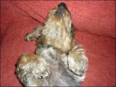 J'ai trop mang&eacute; et trop bu, je suis :