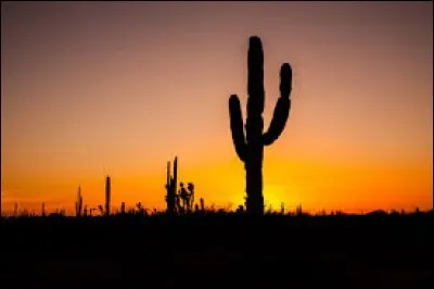Quelle langue parle-t-on au Mexique ?