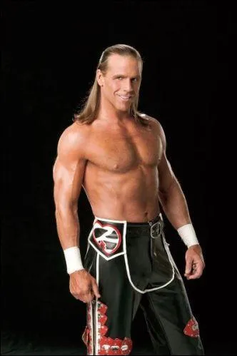 A part shawn michaels qui a pris sa retraite  wrestlmania 25 ?