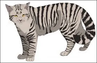 Au fait, comment s'appellent-ils ?