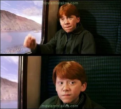 Dans quelle maison ce petit rouquin se coiffant entre les prises est-il ?