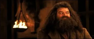 Quel cadeau Hagrid offre-t-il à Harry pour son premier Noël à Poudlard ?