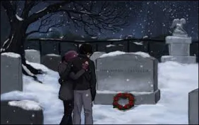 Avec qui Harry passe-t-il Noël avant d'entrer chez Tourdesac ?