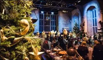 Lors de la première année d'Harry, quel élève est le premier à s'inscrire pour rester à Poudlard pendant les vacances de Noël ?