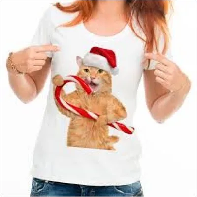 Que tient le chat dans ses pattes ?