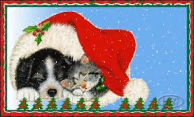 En quelle saison sommes-nous ?