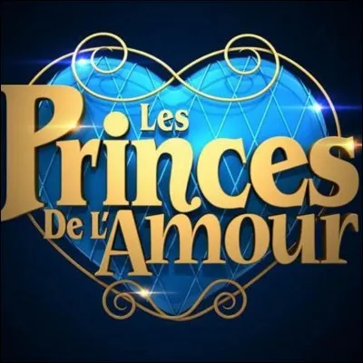 Combien y a-t-il de saisons dans "Les Princes de l'amour" ?