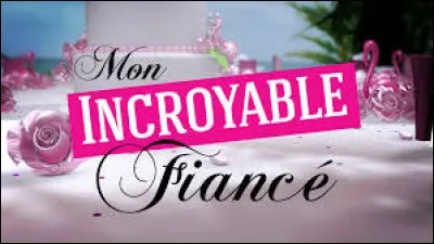Combien y a-t-il de saisons dans "Mon Incroyable Fiancé" ?