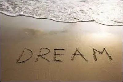 Ton plus grand rêve c'est :