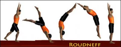 Comment s'appelle le mouvement représenté sur cette image ?