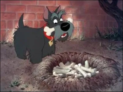 22e : Encore un Disney que probablement tous les enfants ont vu. La jolie histoire d'amour et les chansons de ce dessin animé sont les points forts du film.