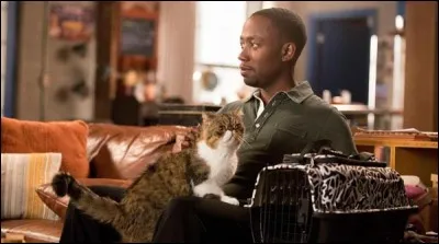 Comment le chat de Winston s'appelle-t-il ?