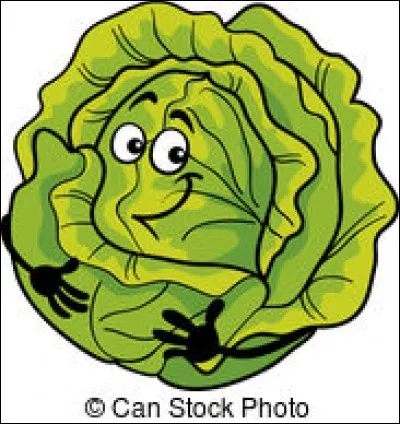 Quant à cette salade, elle va épouser Monsieur Potage, mais quel nom va porter le couple ?