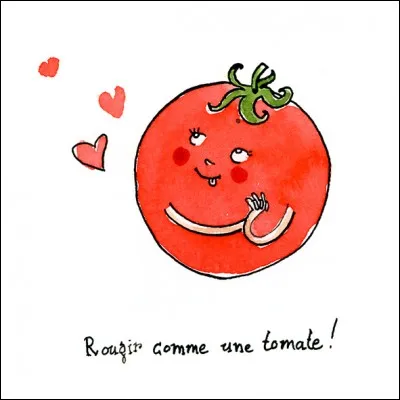 Quel fromage veut épouser Madame Tomate ?