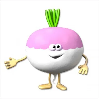 Quel nom porteront les mariés nommés soupe et navet ?