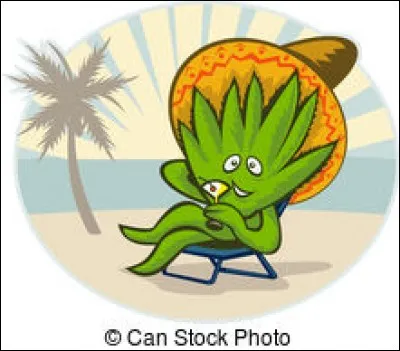 Si l'alcool prend l'agave pour épouse, quel nom va porter le couple ?