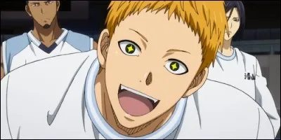 Quel esprit f&eacute;lin poss&egrave;de Kotar&ocirc; Hayama ?