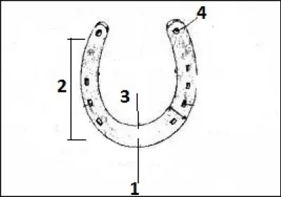 Comment se nomme le numéro 4 ?
