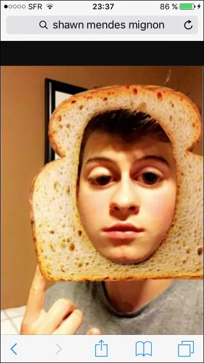 À quels insectes Shawn est-il allergique ?