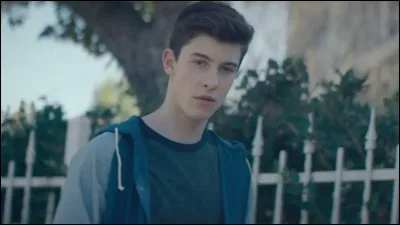 Dans lequel de ces clips peut-on apercevoir cette image ?