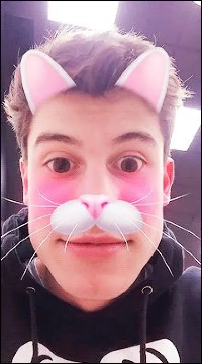 Combien d'albums a-t-il sortis ?