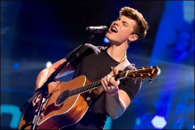 Quelle est la date de son premier concert ?