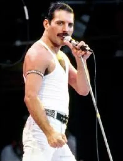 ''Heaven for Everyone'' est une chanson de Queen o&ugrave; on retrouvait la voix de Freddie Mercury. L'album ''Made in Heaven'' date de 1995 et cela faisait d&eacute;j&agrave; 4 ans que le chanteur du groupe avait disparu...