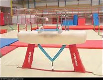 En gymnastique, quel type d'agrès est le cheval d'arçon ?