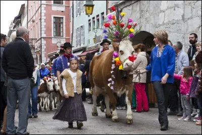 À Annecy, durant quel mois pourrez-vous assister à un défilé de personnes en costume traditionnel et de vaches fleuries à l'occasion de la Descente des Alpages ?
