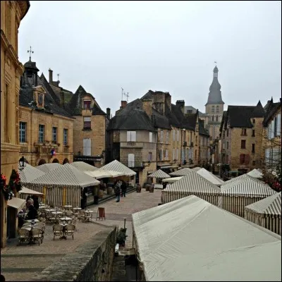 Quelle cité périgourdine organise, à la mi-janvier, une grande fête autour de ses deux produits gastronomiques phares que sont la truffe et le foie gras ?