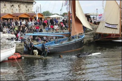 Quel crustacé est fêté fin septembre ou début octobre à Honfleur, sur la côte normande ?