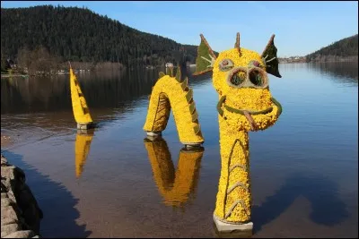 Quel fleur est mise à l'honneur en avril dans la commune vosgienne de Gérardmer ?