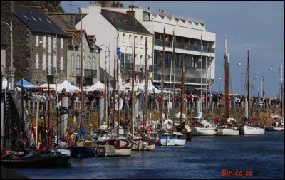 Quel poisson est fêté en mai dans la commune de Binic, dans les Côtes d'Armor, par des concerts, des dégustations et des expositions de vieux bateaux de pêche ?