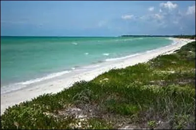 Le golfe du Mexique ne borde pas les côtes du Mexique.