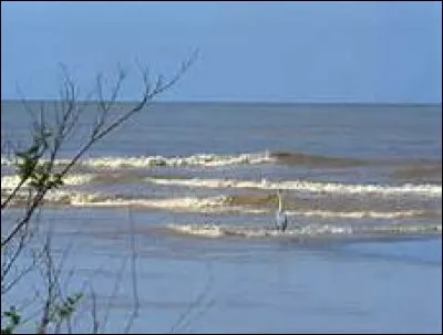 L'est de la Turquie est bordé par la mer Caspienne.