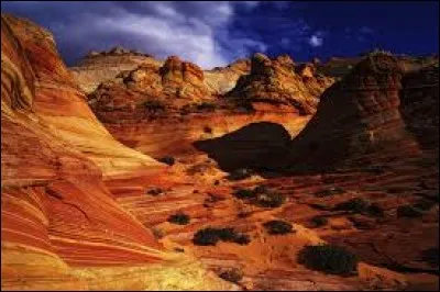 Où peut-on situer l'Etat du Texas situé aux États-Unis ?