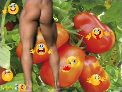 Qu'a reçu le président du Conseil Guy Mollet à Alger en 1956 ?